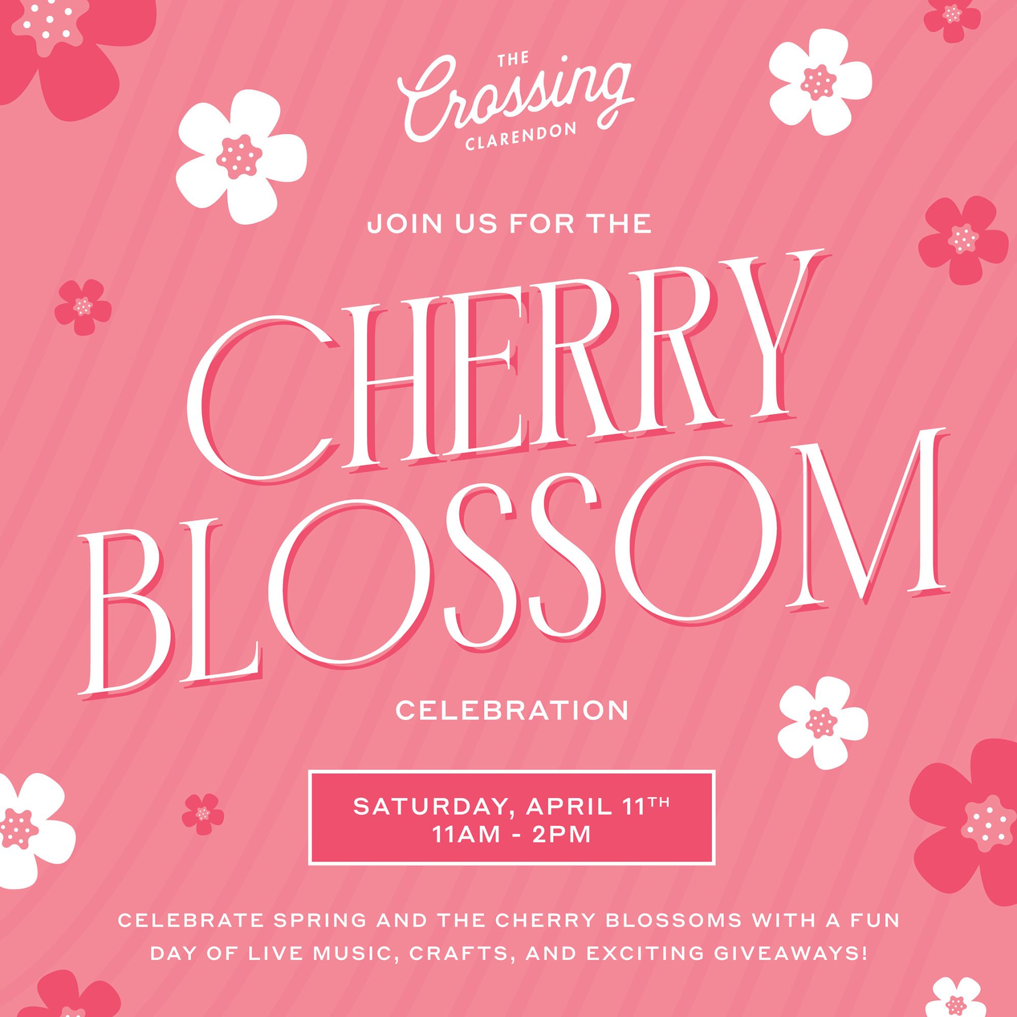 Cherry Blossom Celebration | The Crossing Clarendon