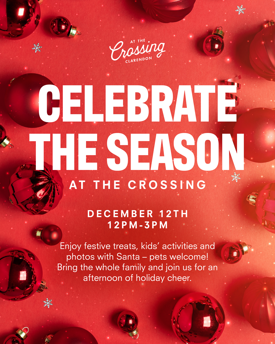 Celebrate the Season with Photos with Santa