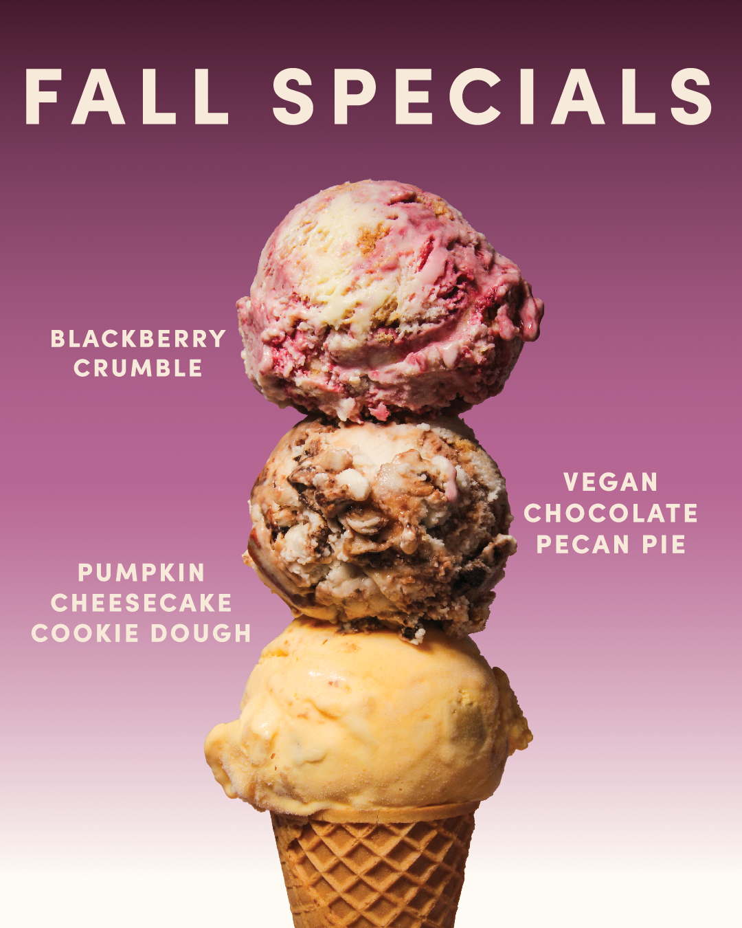 Fall Specials: